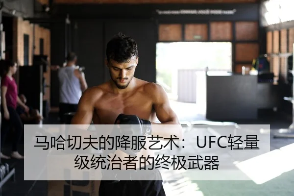 马哈切夫的降服艺术：UFC轻量级统治者的终极武器