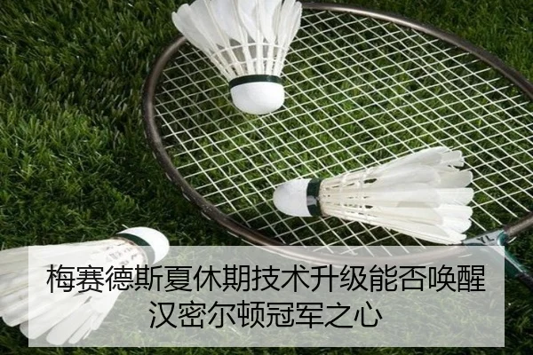 梅赛德斯夏休期技术升级能否唤醒汉密尔顿冠军之心