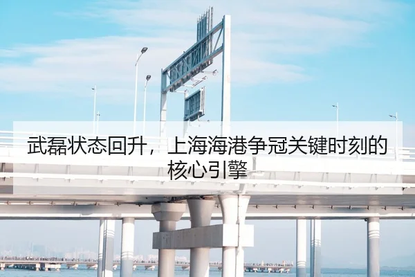 武磊状态回升，上海海港争冠关键时刻的核心引擎
