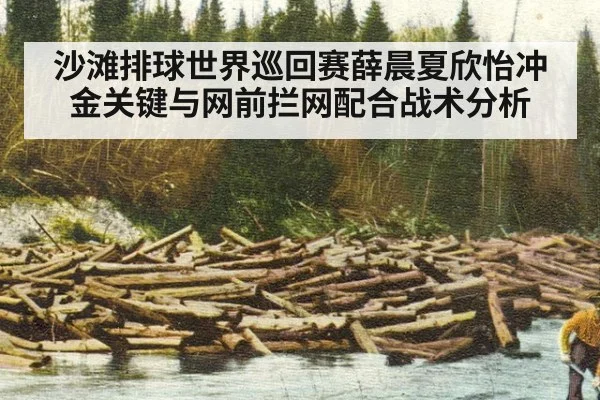 沙滩排球世界巡回赛薛晨夏欣怡冲金关键与网前拦网配合战术分析